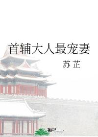 首輔大人最寵妻