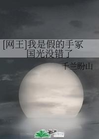 [網王]我是假的手冢國光沒錯了