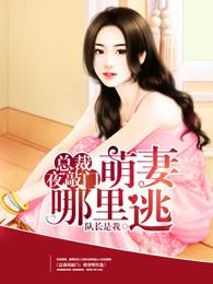 總裁夜敲門：萌妻哪裏逃