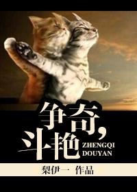 争奇，鬥豔