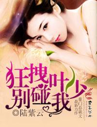 狂拽葉少的婚事