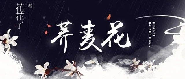 荞麥花