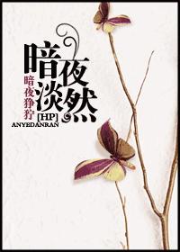 暗夜淡然