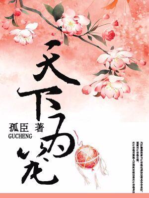 天下為籠