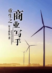 重生之商業寫手