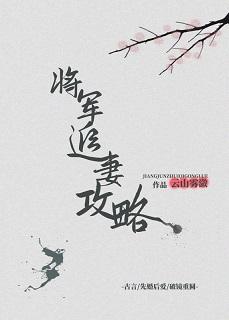 将軍追妻攻略