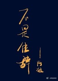 不是佳辭
