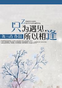 只為遇見，所以相逢