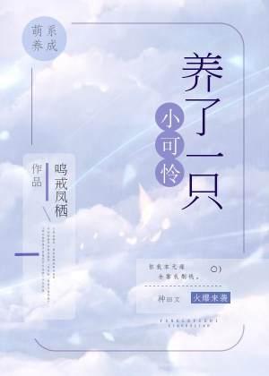 養了一只小可憐