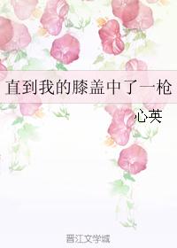 直到我的膝蓋中了一槍