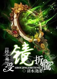 受鏡折騰