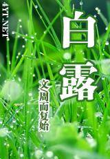 白露
