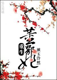 重生董鄂妃