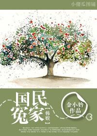 韓娛之國民冤家