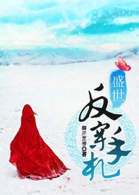 盛世反穿手劄