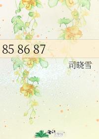 85 86 87
