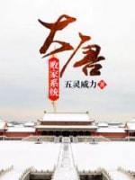 大唐敗家系統