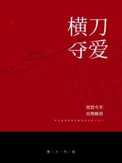 橫刀奪愛