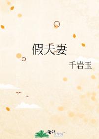 假夫妻