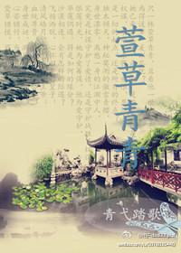 萱草青青