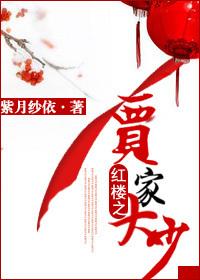 紅樓之賈家大少