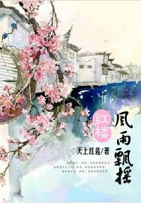 紅樓之風雨飄搖