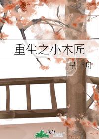 重生之小木匠