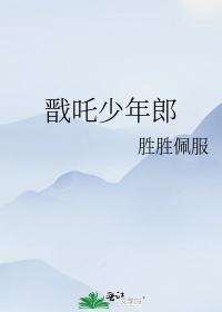 戬吒少年郎