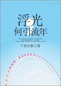 浮光，何引流年