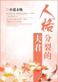 人格分裂的夫君