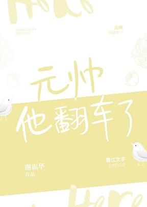 元帥他翻車了