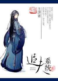 追夫系統