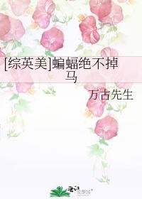 [綜英美]蝙蝠絕不掉馬