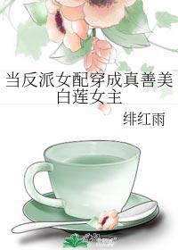 當反派女配穿成真善美白蓮女主