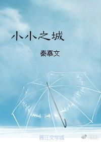 小小之城