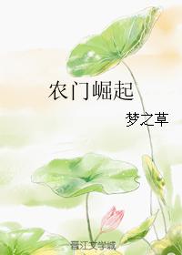 農門崛起