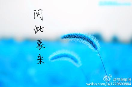 問此袁來