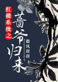 紅樓系統之薔爺歸來