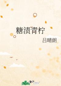 糖漬青檸