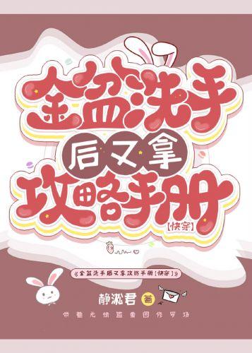 金盆洗手後又拿攻略手冊[快穿]