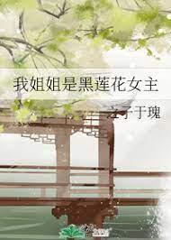我姐姐是黑蓮花女主