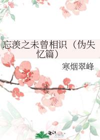 忘羨之未曾相識（僞失憶篇）