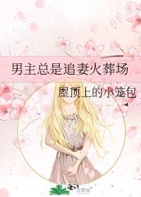 男主總是追妻火葬場