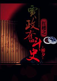 賈政奮鬥史