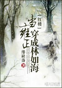 當雍正穿成林如海