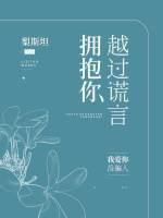 越過謊言擁抱你