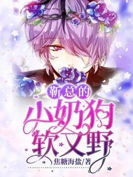 靳總的小奶狗軟又野