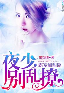 霸寵甜甜圈：夜少，別亂撩