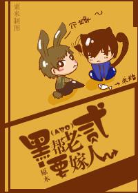 南家小貳要嫁人[ABO]