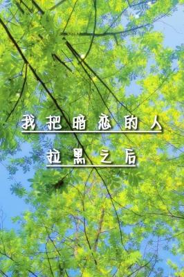 我把暗戀的人拉黑之後
